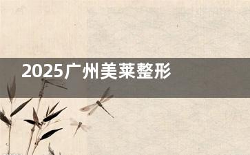 2025广州美莱整形收费价格表查询，含眼部|鼻部|胸部|吸脂|轮廓整形|拉皮费用